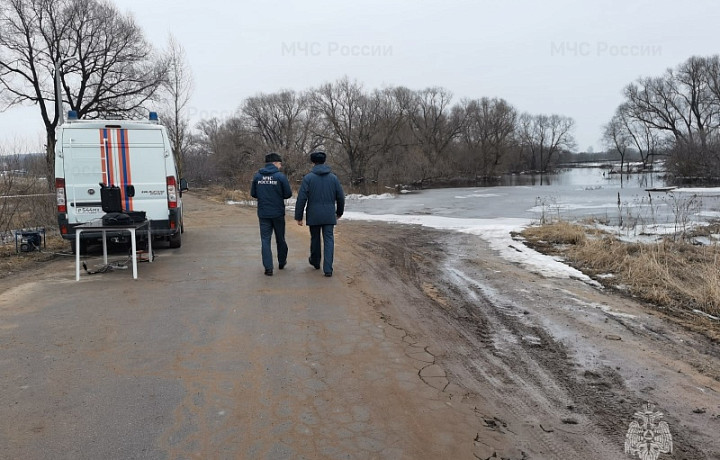 Из-за половодья в Туле и Суворовском районе затопило два низководных моста