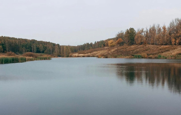 В Большой Туле обнаружили еще один пруд в частной собственности
