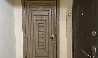 «Там уже пахнет, трупный запах идет»: в Туле в закрытой квартире умирают брошенные хозяином собаки