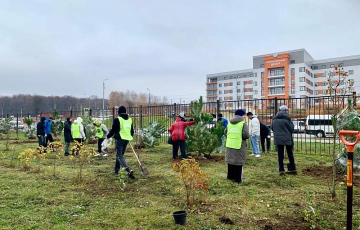 На территории Тульской детской клинической больницы высадили 20 сосен и 30 кустов сирени