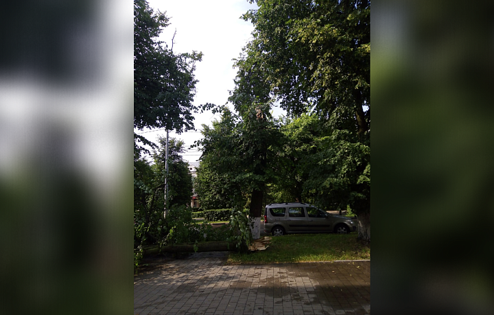 На улице Комсомольской в Новомосковске после грозы свалилось дерево