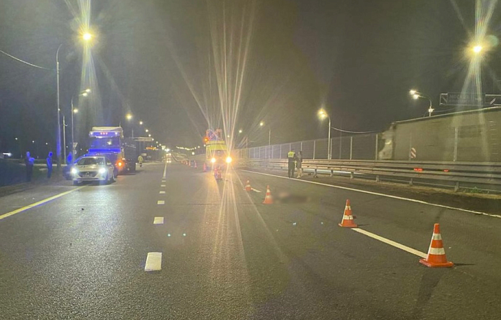 Водитель Lada Largus насмерть сбил пешехода на трассе М-4 в Воловском районе