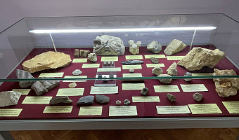 История внутри истории: в городской застройке Тулы хранятся десятки экспонатов возрастом в сотни миллионов лет