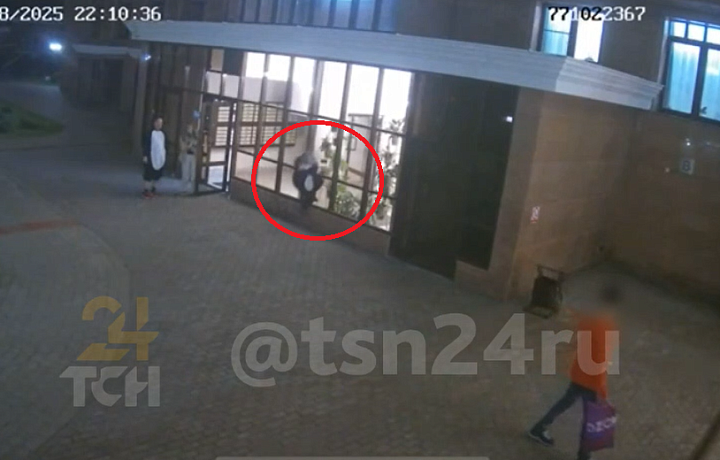 Бил с упорством дятла: в Туле человек в костюме пингвина с разбега бросался на стеклопакет на входе в элитный дом