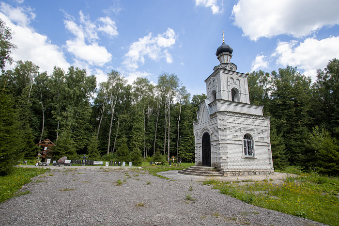Фоторепортаж из Тесницого леса: как выглядит расстрельный полигон под Тулой