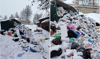 Жители Узловского района массово жалуются не нерасчищенные улицы и горы мусора