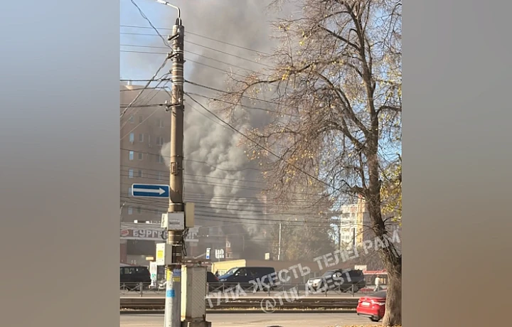 На Зеленстрое в Туле загорелся мусорный контейнер