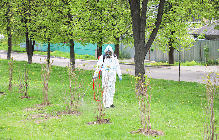 В Туле завершен первый этап акарицидной обработки территорий