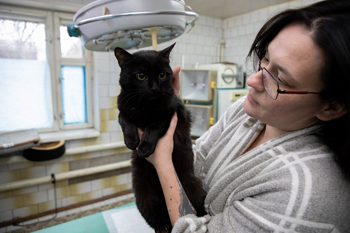 Вестники неудачи или пушистые милашки: тульские черные кошки ищут своих хозяев