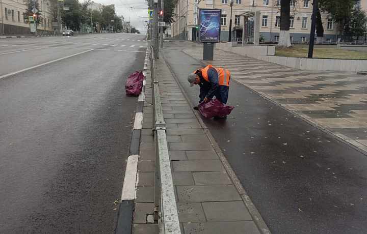 В Туле 22 июля окосят газоны, уберут мусор и помоют тротуары