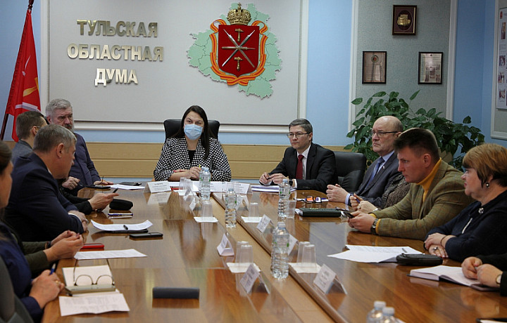 Депутаты предложили внести изменения в закон «О мерах социальной поддержки многодетных семей в Тульской области»