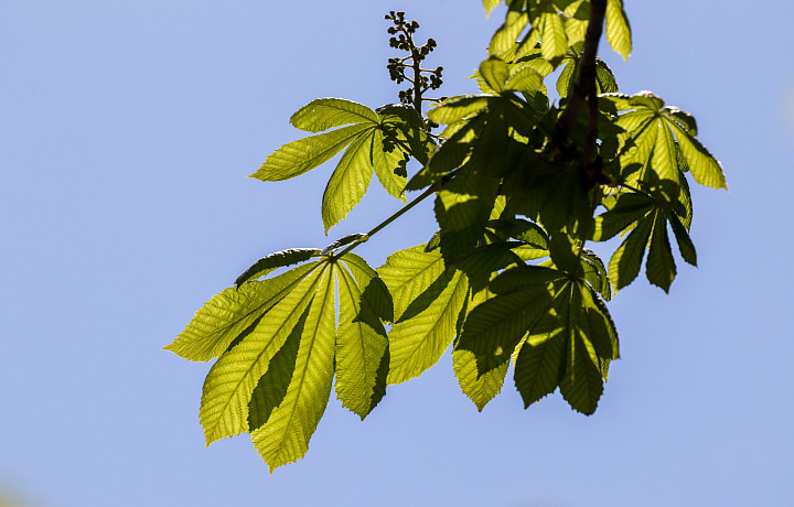 4 сентября: какой сегодня праздник, этот день в истории России и Тулы