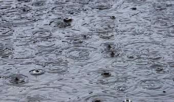 В Туле и области объявили метеопредупреждение 24 сентября из-за сильного дождя