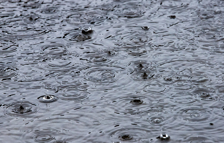 В Туле и области объявили метеопредупреждение 24 сентября из-за сильного дождя