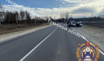 Водитель Renault пострадал в ДТП в Белевском районе