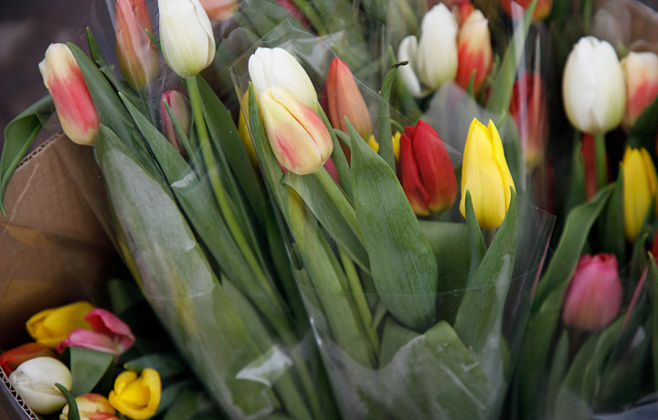 Эксперты рассказали, как выбрать безопасный букет на 8 Марта для человека и животных