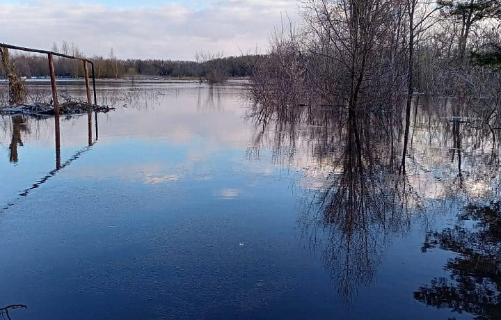 Сергей Балтабаев рассказал о ситуации с половодьем в Ефремове