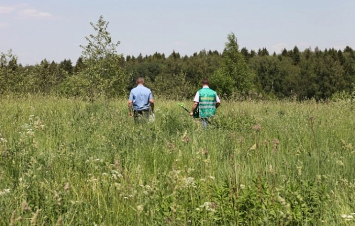 В Заокском районе Тульской области изъяли 12,2 га заброшенной земли