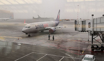 Более 50 туристов остались без отдыха и денег: известный турагент из Тулы взяла миллионы и скрылась в неизвестном направлении