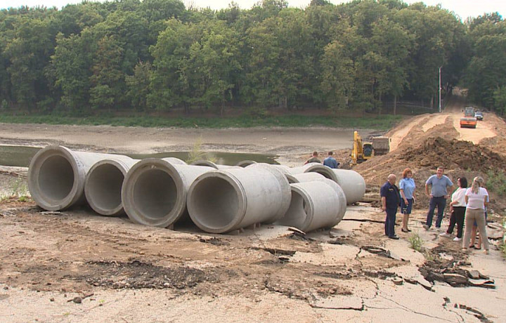 Тульская природоохранная прокуратура начала проверку пруда в Платоновском парке из-за обмеления