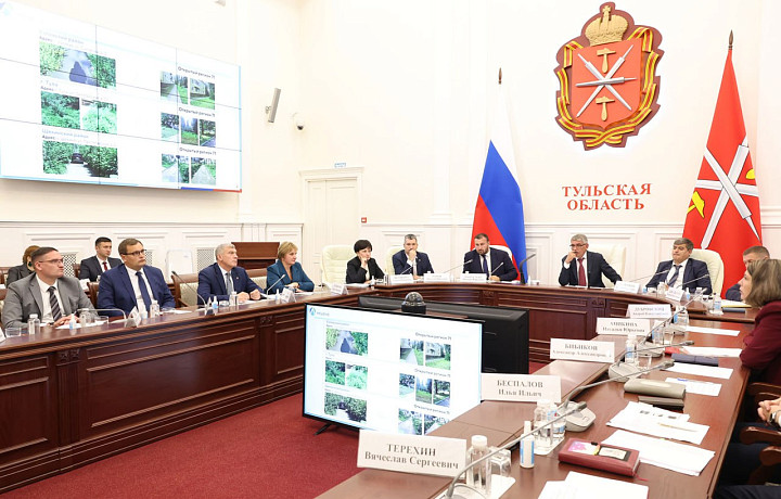 Туляки пожаловались губернатору на проблемы с водоснабжением, дорогами и окос травы
