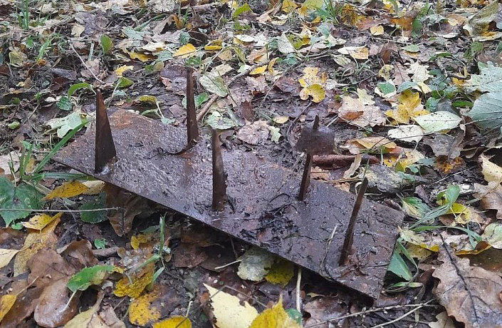 Туляки обнаружили в лесу металлические ловушки с шипами
