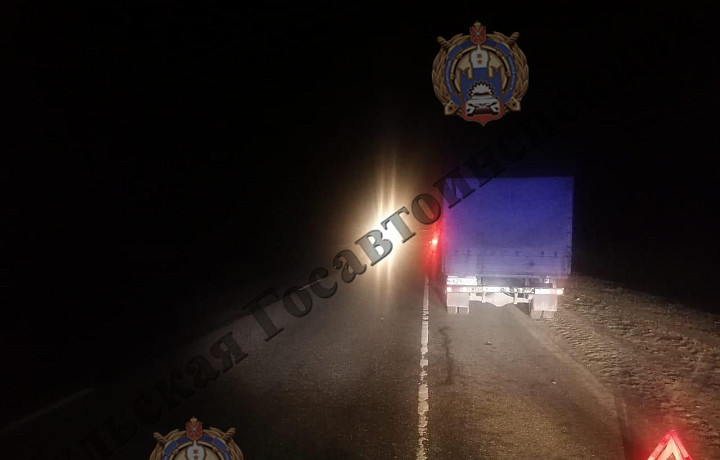 На трассе М-2 «Крым» в Плавском районе газель сбила 24-летнего парня