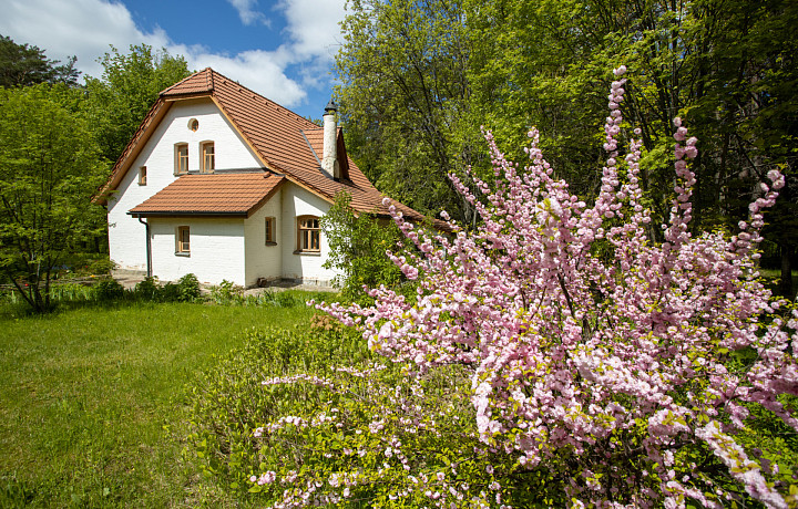 Епифанская Ярмарка, Пикники в Поленово, День левши: куда сходить в Туле и области. Афиша на 13-14 августа 2022 года