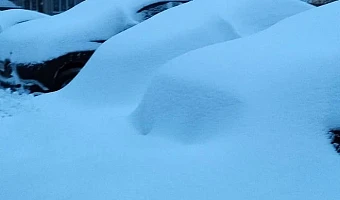 Синоптик поделился прогнозом появления устойчивого снежного покрова в Тульской области
