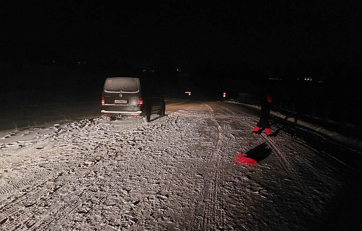 В селе Архангельское Большой Тулы водитель сбил пешехода