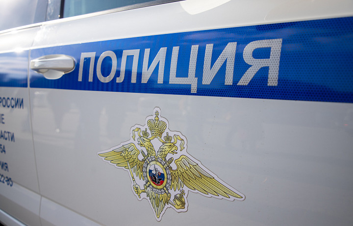 Полицейские задержали похитителей восьмилетней девочки в Калужской области