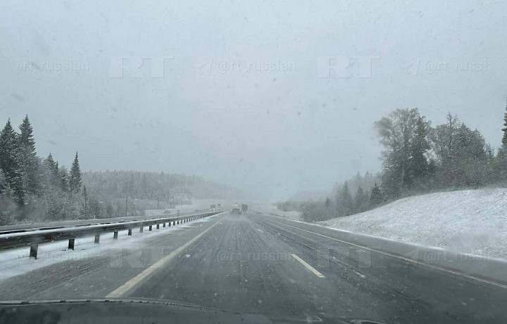 Снег выпал в Московской области 29 апреля