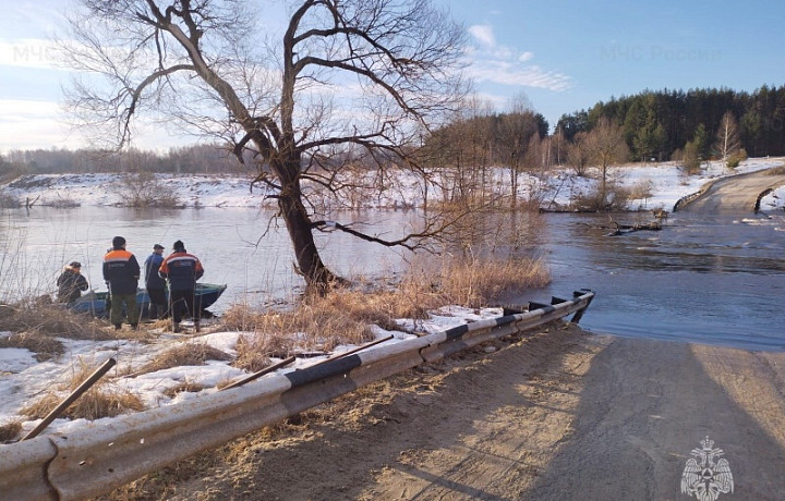 В Тульской области подтопленными остаются 14 мостов и один участок дороги