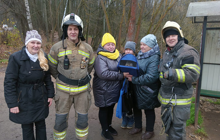 Сотрудники тульского МЧС спасли котенка, забравшегося на дерево