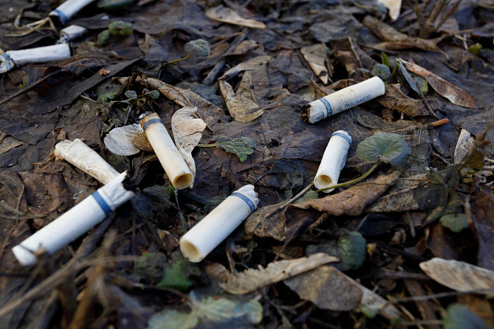 Идет – бычок валяется: фоторепортаж с улиц Тулы, от которого хочется прокашляться