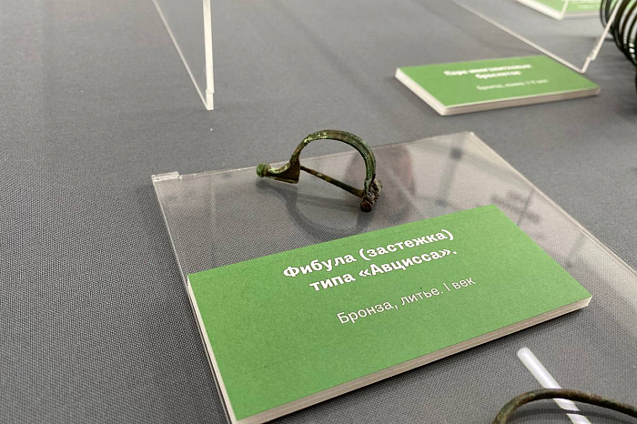 Музею «Куликово поле» передан археологический клад, найденный неподалеку от Тулы черным копателем