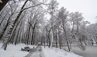 Метель и снежные заносы: 7 февраля погода в Тульской области ухудшится