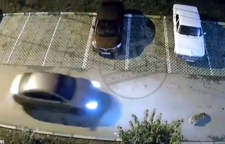 В Новомосковске водителя обвинили в том, что он намеренно наехал на собаку