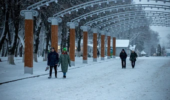 «Морозы будут достаточно ощутимыми»: Тульскую область может ожидать настоящий зимний Новый год