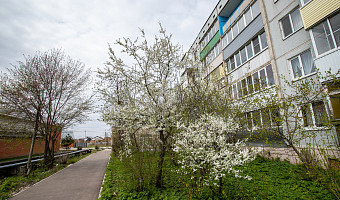 В Тульской области к выходным похолодает до +12 градусов