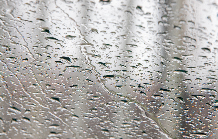 Ливни и грозы придут в Тульскую область к выходным