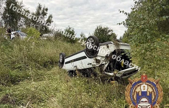 В Чернском районе Тульской области 18-летний водитель «Лады» опрокинул машину в кювет