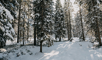 Один в поле воин: что делать, если оказался зимой вдали от цивилизации?