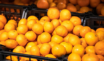 Диетолог рассказала, сколько мандаринов можно съедать в день