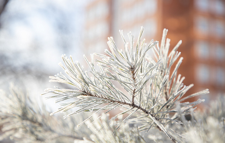 В первую декаду декабря в Тульскую область придут крепкие морозы