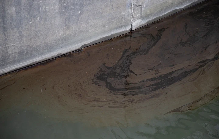 Алексинская река Мышега приобрела статус «Экстремально грязная»