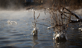 В Туле и области потеплеет до +2 градусов в пятницу, 13 февраля