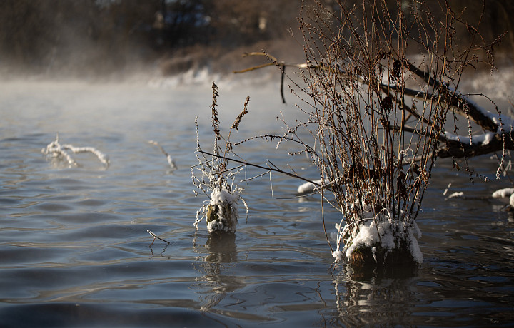 В Туле и области потеплеет до +2 градусов в пятницу, 13 февраля