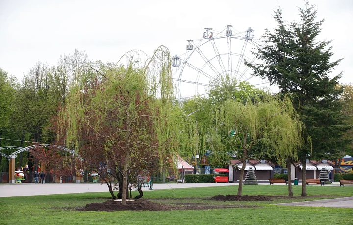 Жители Тульской области определят территории для благоустройства