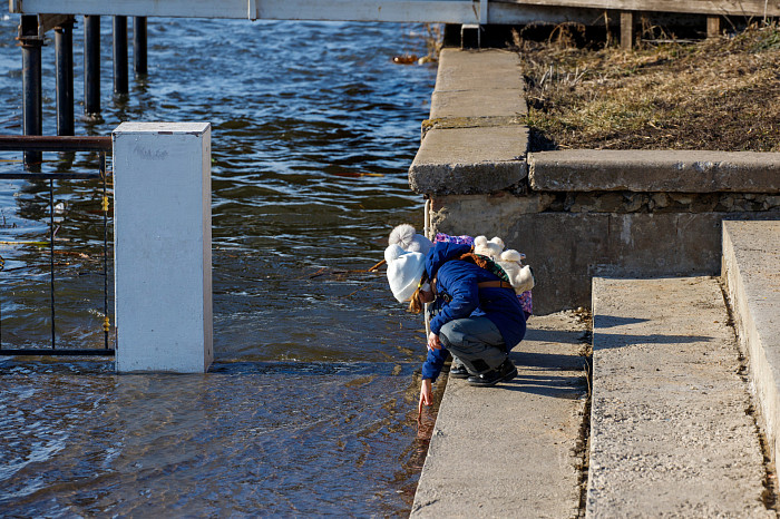 Пролетарская набережная в Туле вот-вот уйдет под воду: пик паводка возможен уже на следующей неделе